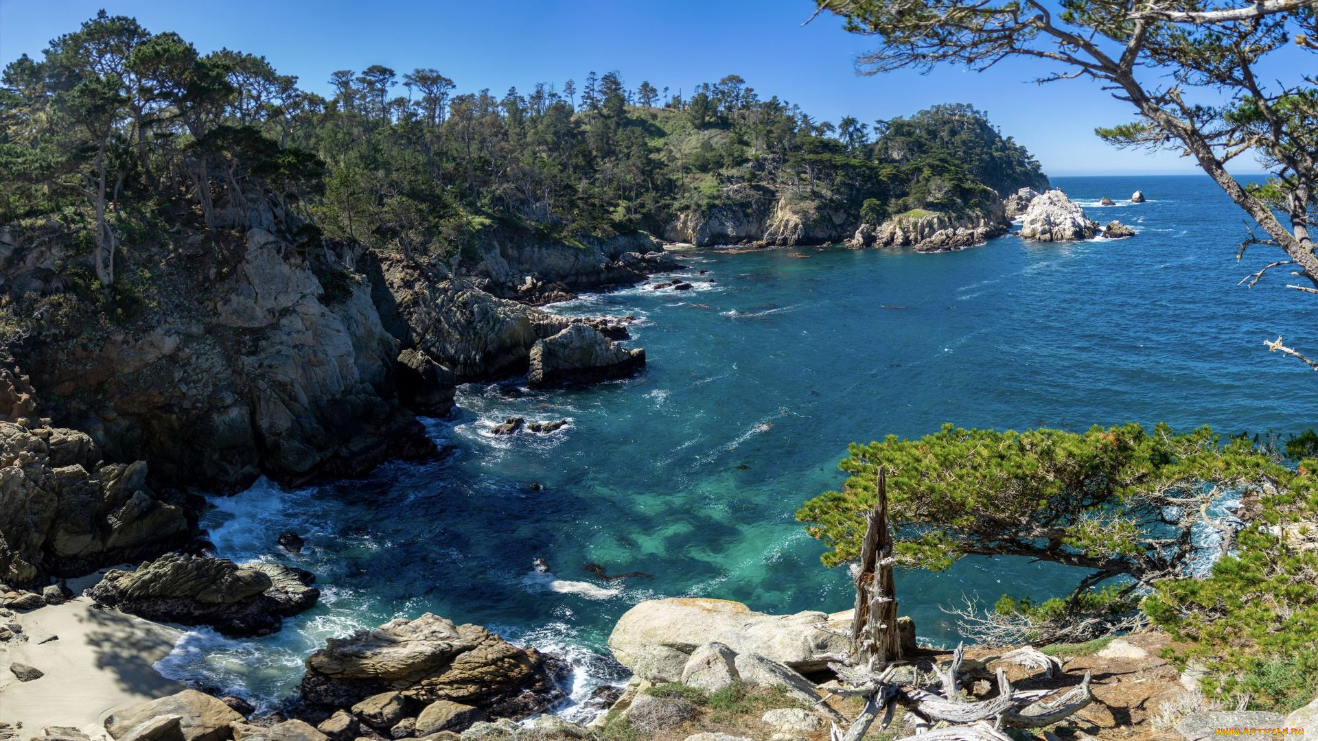 point lobos, south of monterey, california, , , point, lobos, south, of, monterey